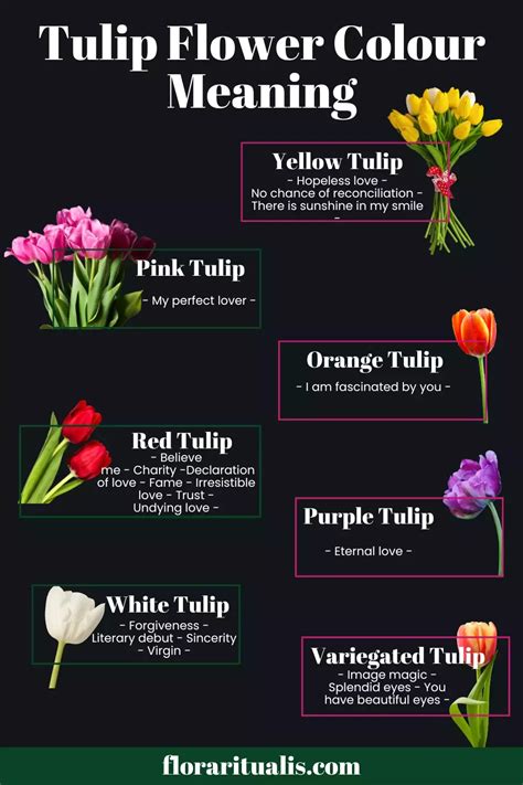 tulig|TULIG: Definition of the Tagalog word tulig in English..